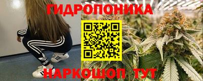 spice Донецк