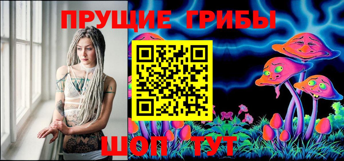купить  цена  Вход с VPN  Луга  Псилоцибиновые грибы Psilocybine cubensis 